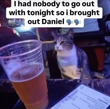 CatPosted's tweet photo. https://t.co/e7y5ImTYjG