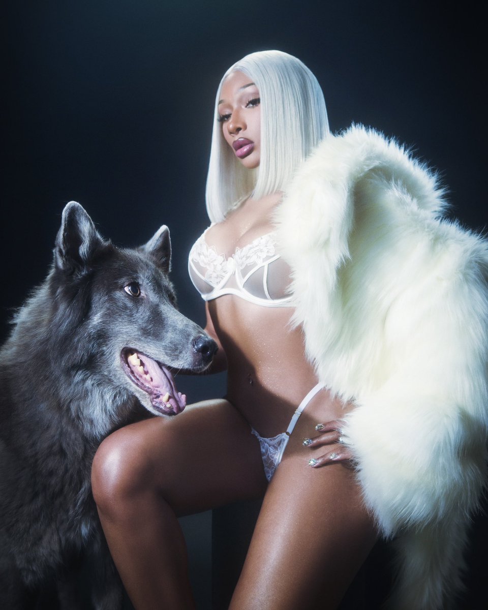 theestallion's tweet photo. ❄️🐺 https://t.co/QYOHDIjJLj