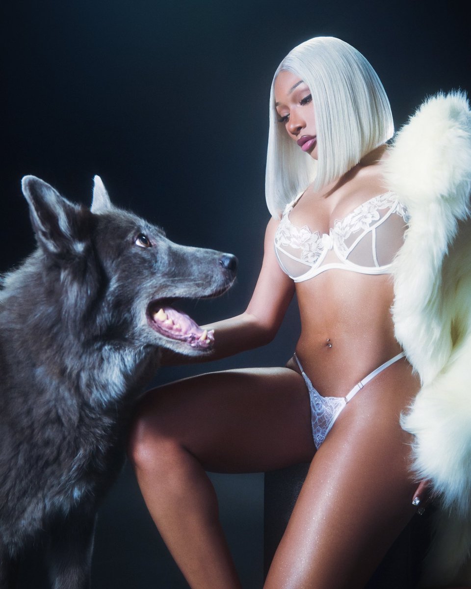 theestallion's tweet photo. ❄️🐺 https://t.co/QYOHDIjJLj