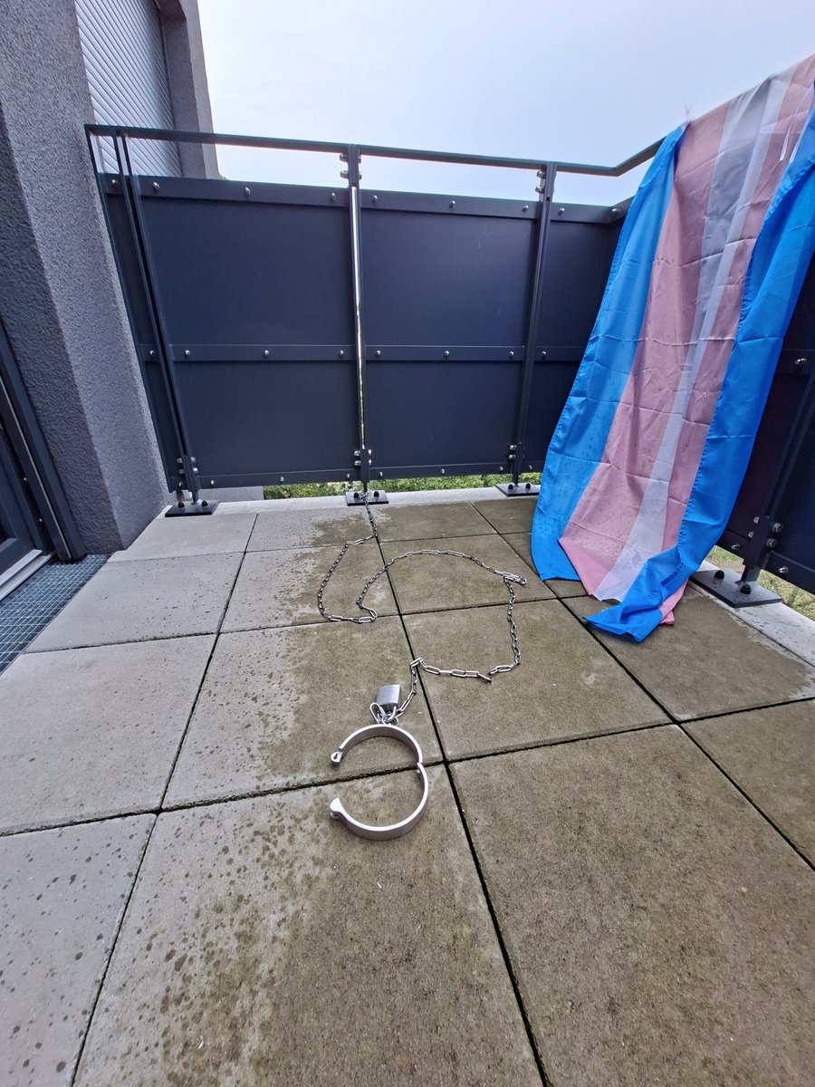 Synth_Obscurity's tweet photo. My balcony feels so empty. 
There's barely a reason to go out and enjoy the sun for an afternoon without the excitement of a chain dog awaiting me.
No scratching on my door when it rains to fall asleep to.

If only there was a solution~<3 https://t.co/gVn6xRYF8r