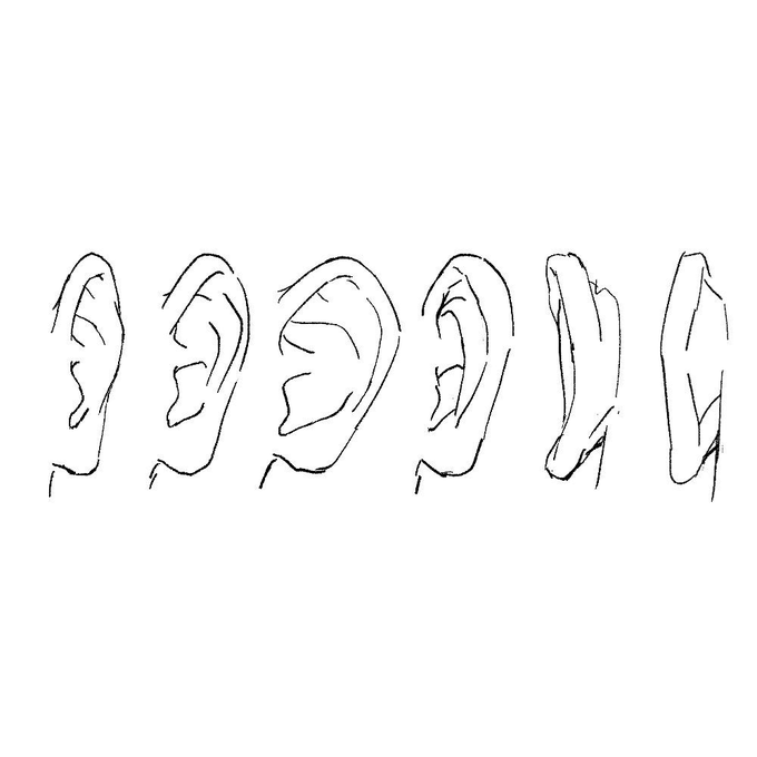 tryanglefor's tweet photo. Ears from different perspective! Save this for your next drawing ✍️ https://t.co/Ta0B27bG3N