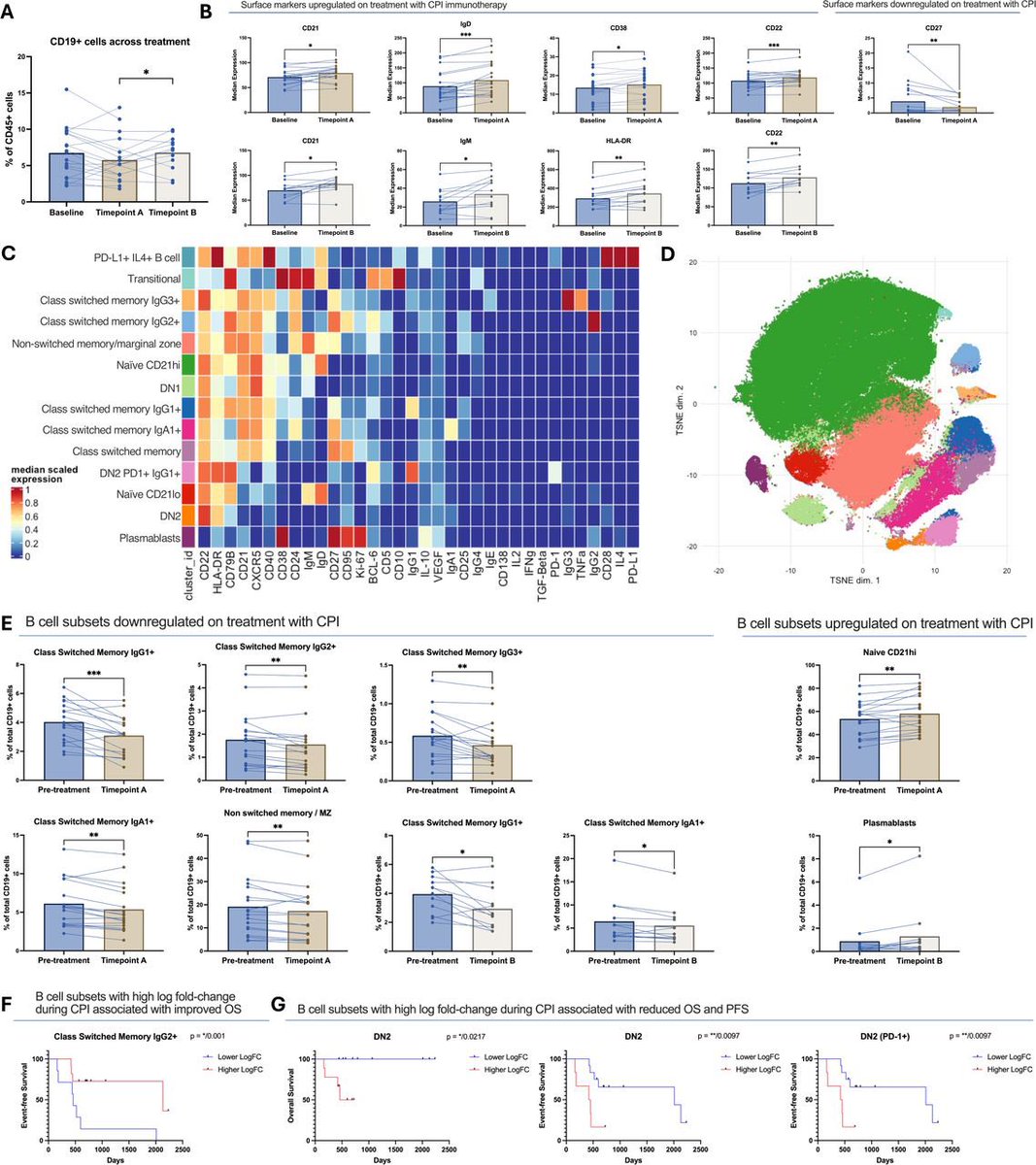 MarioBalsaMD's tweet photo. 🚨 Circulating B- & T-cell activation states predict outcomes in #melanoma under checkpoint inhibition @jitcancer 
https://t.co/mMnfq1gojJ

▪️High-dimensional peripheral immune profiling
⚠️ Pre-Tx ↑PD-1+ T cells → irAEs
🔴 Naïve/DN B-cell states → poorer outcomes
💥 On-Tx class-switched B cells + activated T cells → improved survival

B cells clearly have a say in how the plot unfolds! 

@OncoAlert
@OncoReporte @myESMO @_SEOM