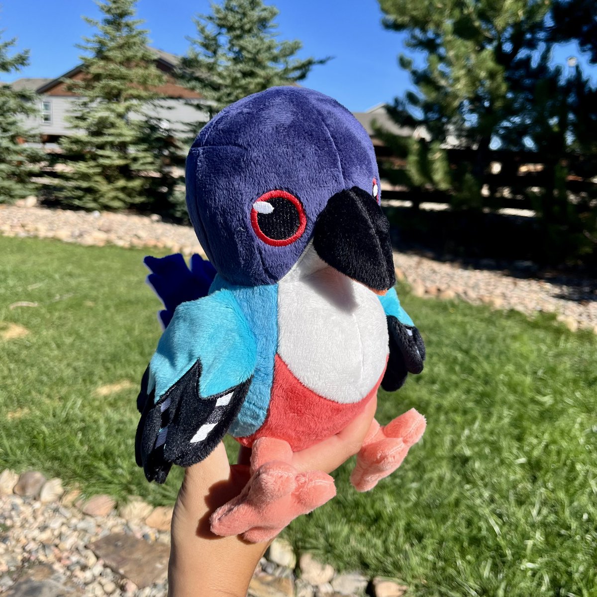 FloofFluffPlush's tweet photo. Been on a bird kick 🦜 here’s a conure and Cuban trogon I made recently! https://t.co/F90XPuJHTk