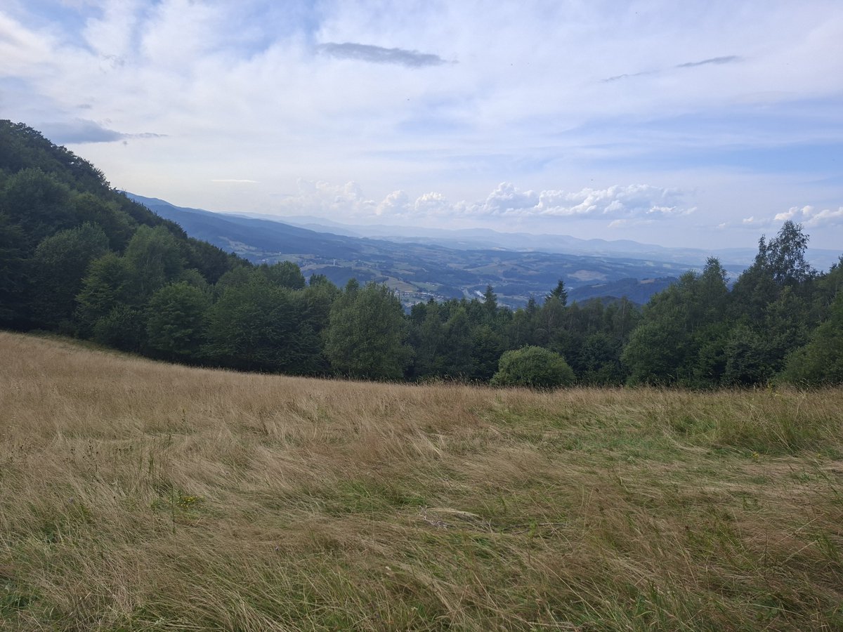 Hanna54817981's tweet photo. #Cyrla #BeskidSądecki https://t.co/gibvFoA7Oo