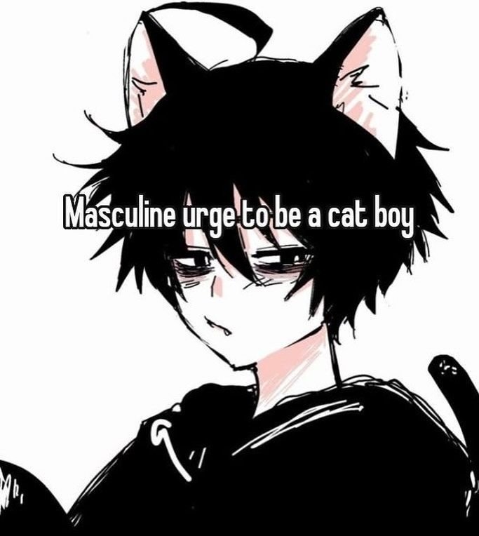 Thefemboyorder's tweet photo. (˶˃𐃷˂˶) https://t.co/HJ9nRqqN4Y