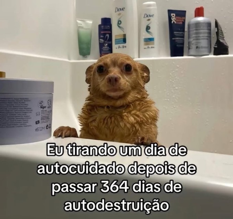 doimaszpassa's tweet photo. https://t.co/FDw4toe5sp