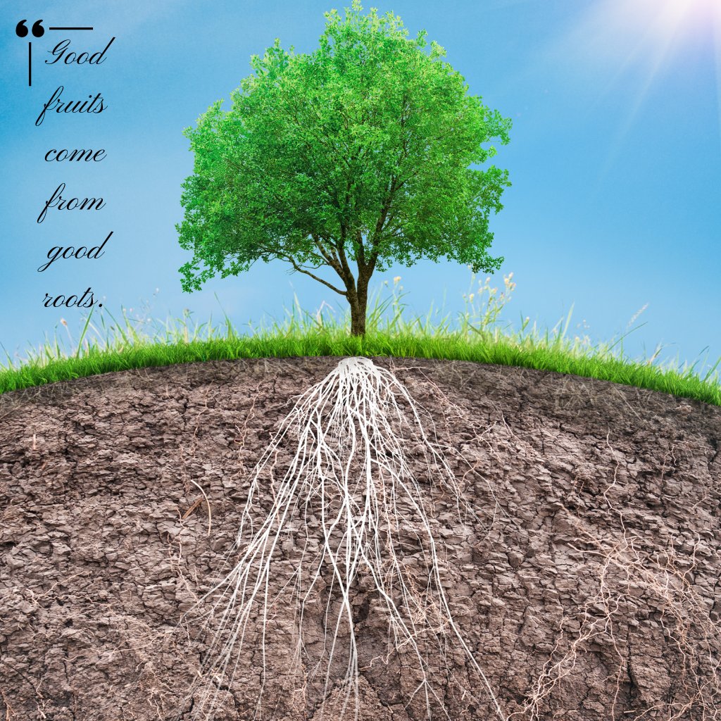 redeemerconnect's tweet photo. What does it take to build a household that stands firm through every storm of life? Pastor Mike Curtis explored God's design for the family — and it starts beneath the surface, with roots that run deep in Jesus Christ.

Hear Pastor Mike's message at https;//bit.ly/4dZT8xg https://t.co/TQWGSoYAI9