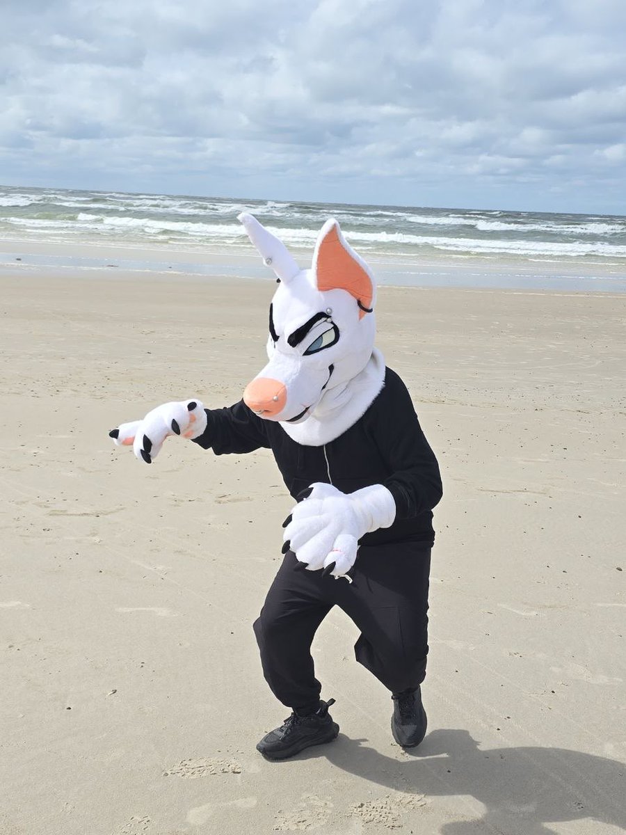CursedDobie's tweet photo. Dogs on the beach have to be leashed, actually!!! https://t.co/D7bC3uUqlF