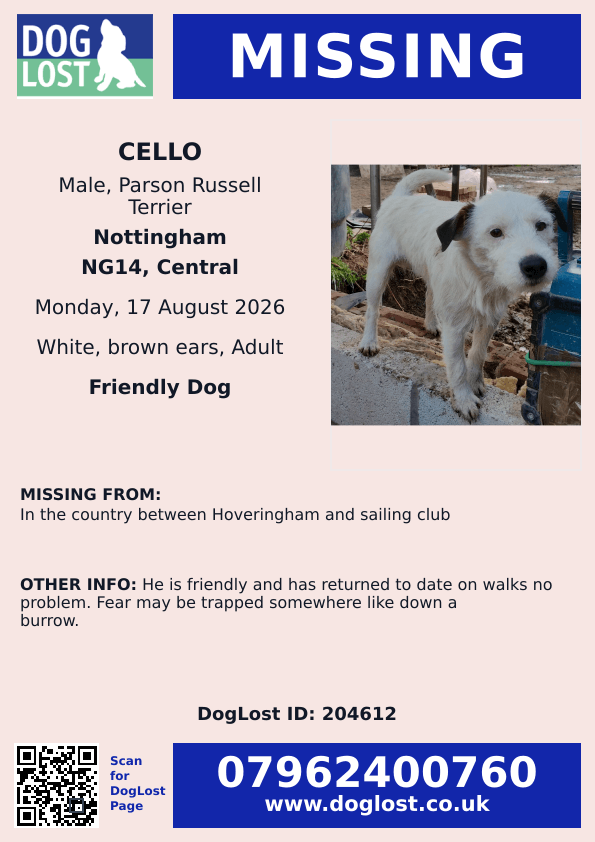 millypod1's tweet photo. 🆘17 AUG 2026 #Lost Cello #ScanMe
Parson Russell Terrier Male
between #Hoveringham and sailing club
#Nottingham #Nottinghamshire #NG14
https://t.co/V5pgrGRyjh https://t.co/voPsOzEbUw