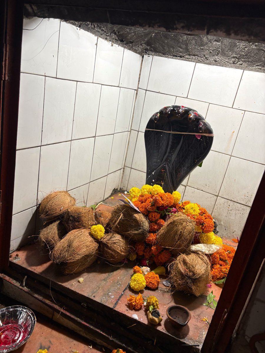 drmishra_stuti's tweet photo. #नागपंचमी व तृतीय सावन सोमवार की शुभकामनाएं
शिवि के साथ हमने मंदिर पर नाग देवता के दर्शन किए।
#जयमहाकाल #harharmahadevॐ #singleparenting https://t.co/2P2NNsAQ4G