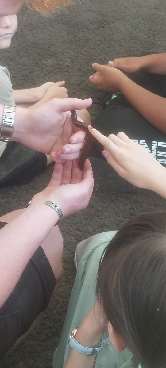 GreenwichLibs's tweet photo. Children at #PlumsteadLibrary were very brave, learning about exotic animals thanks to @ZooLabUK! We learnt about the different species and their preferred environments, foods and more — thank you for coming! 🕷️🐍🐌 #LoveYourLibrary https://t.co/Yq1yRazjxs