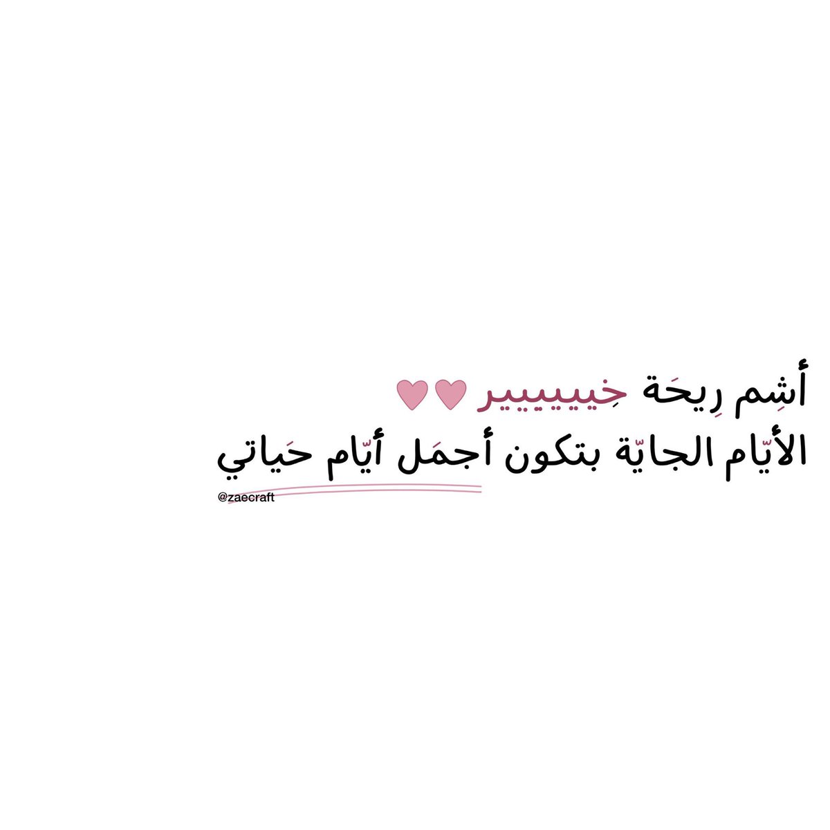 _x11mo's tweet photo. https://t.co/3D1FJHXAXo