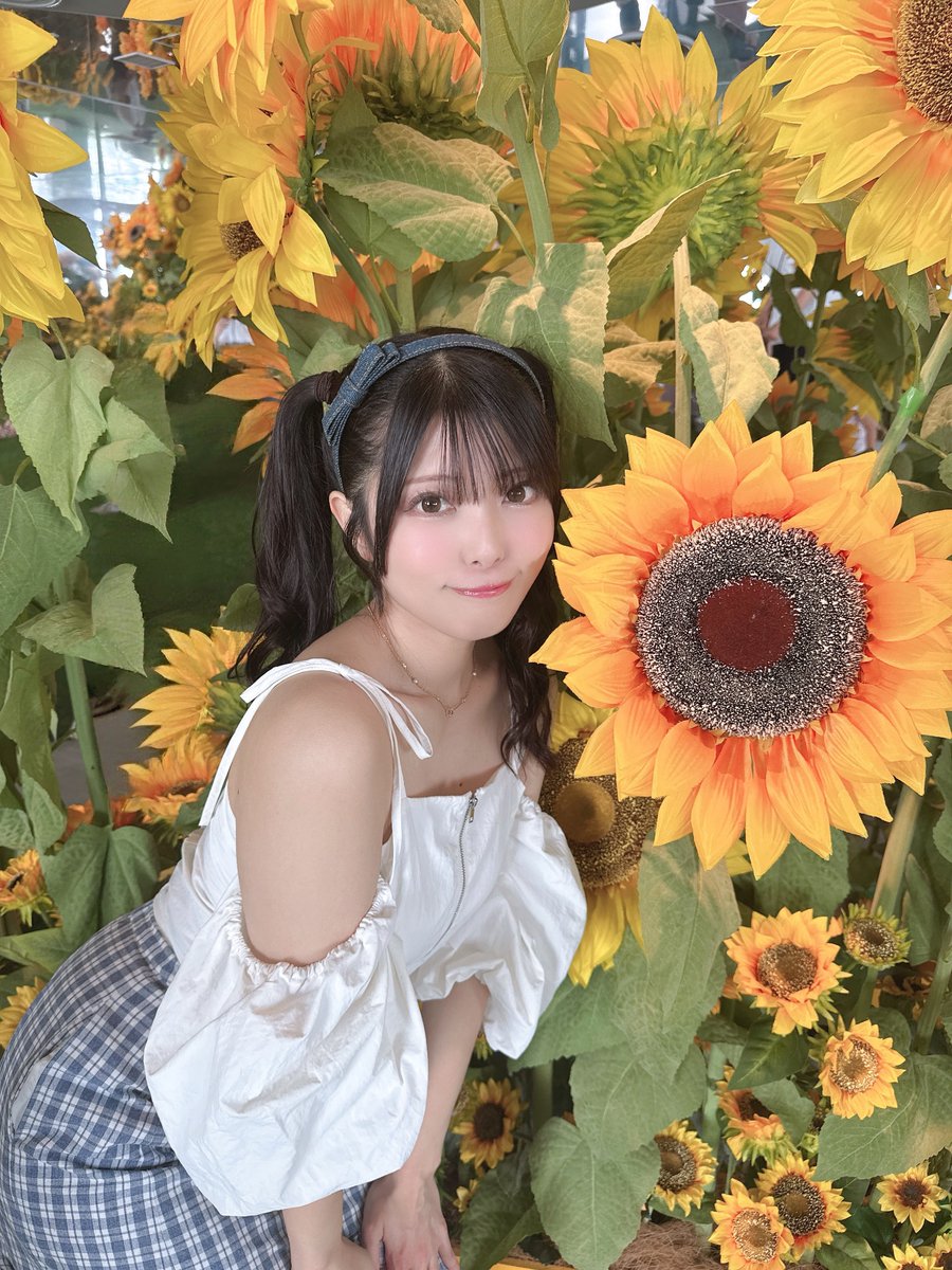niibo_kishiro's tweet photo. おはおー！向日葵と貴城💛 https://t.co/UXlbOsEeGL
