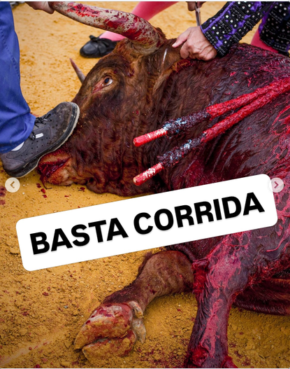 ChasseAbolition's tweet photo. #corrida #BastaCorrida #sadisme #société #animaux #france
A #Béziers des militants et citoyens se rassemblaient pour exiger la fin de la corrida, aux côtés de l’asso #colbacanticorrida. Au même moment la mise à mort de 24 taureaux était programmée
https://t.co/hBR07lzKl4 https://t.co/IScidH7ZFp