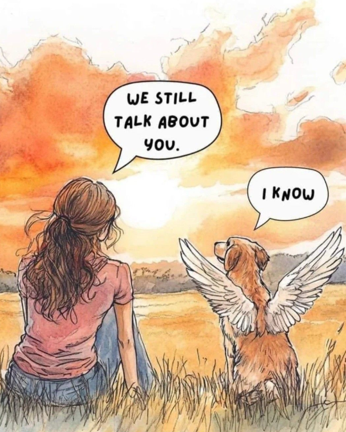 TweeetsOfDogs's tweet photo. https://t.co/W5CG82fL0u