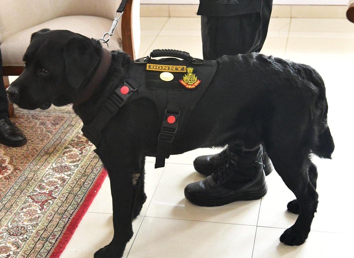 NewsIADN's tweet photo. NSG K9 #Donny has been awarded the Chief of Army Staff Commendation Card. https://t.co/n38B6BVFrN