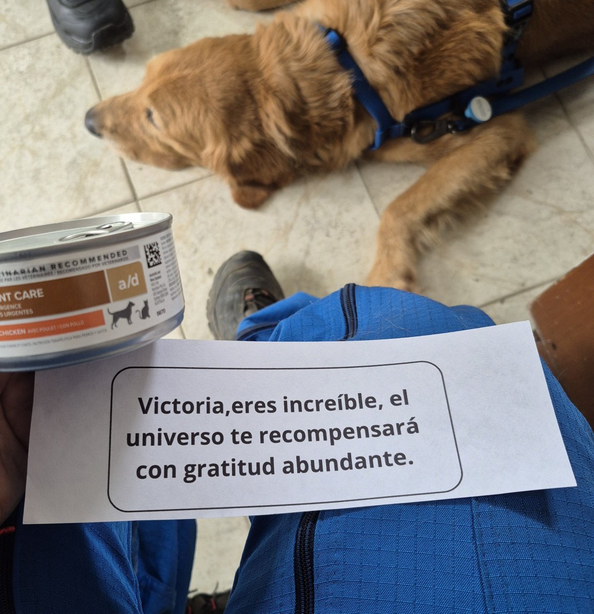MariaVictoriaCF's tweet photo. Agradecida con la vida y con la desicion que tome hace mas de 15 años de ser voluntaria.
Sigo aqui con la disposición de seguir aprendiendo para poder seguir ayudando https://t.co/so2HgnYLvs