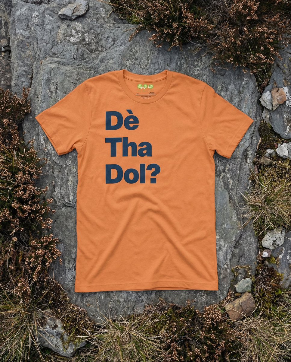 ArtTeeShow's tweet photo. The original Dè Tha Dol? Tee is reduced until it goes. 

Three words in Gaelic on a tee, made so people would ask what it meant.

Enough of them did that there's now a heavier version coming.

When that lands, this one is archived. https://t.co/TOcpOMoUi3