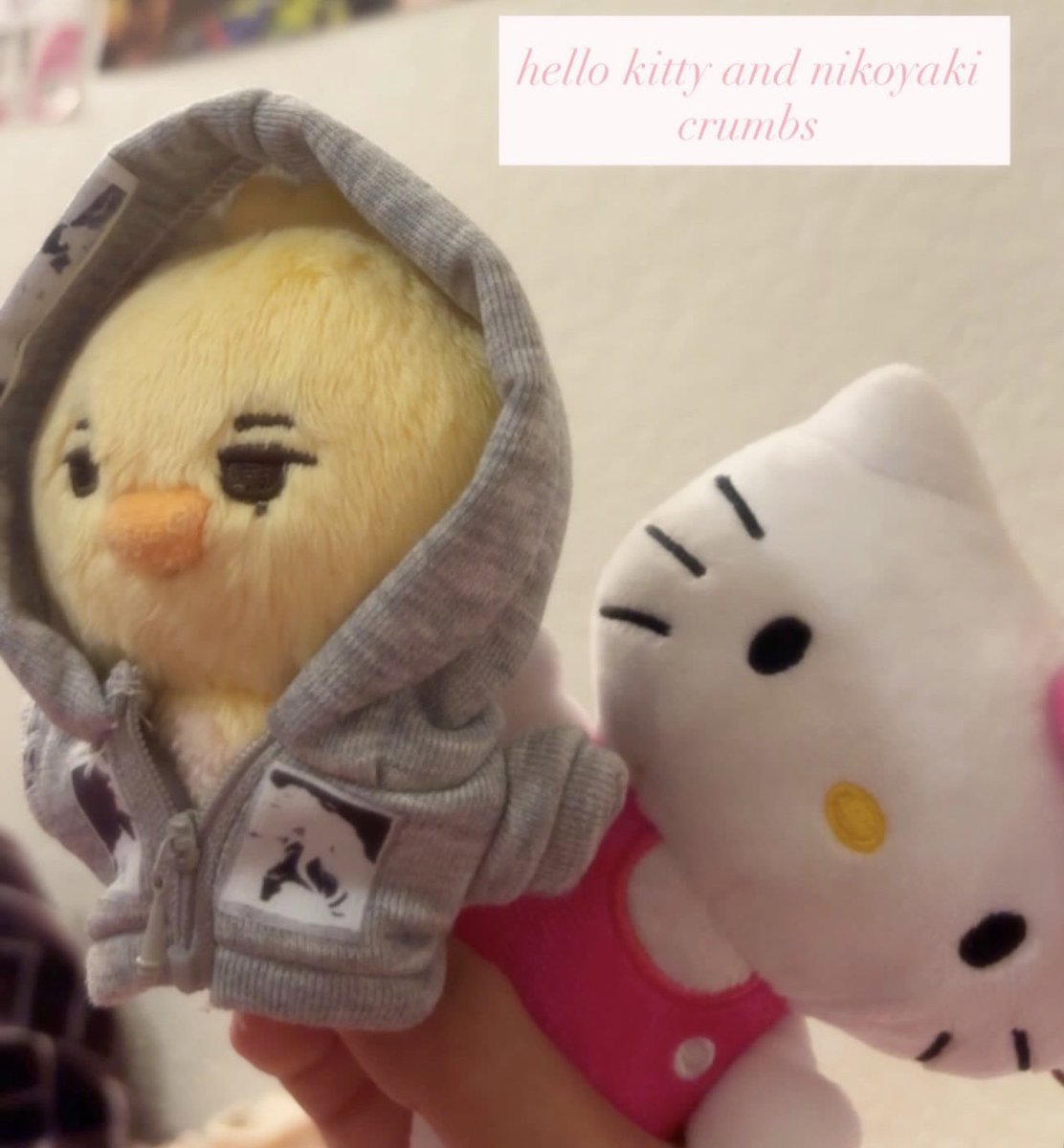 wonkisweetheart's tweet photo. kitty-ki 💘💘💘 https://t.co/1LwRssWqSO