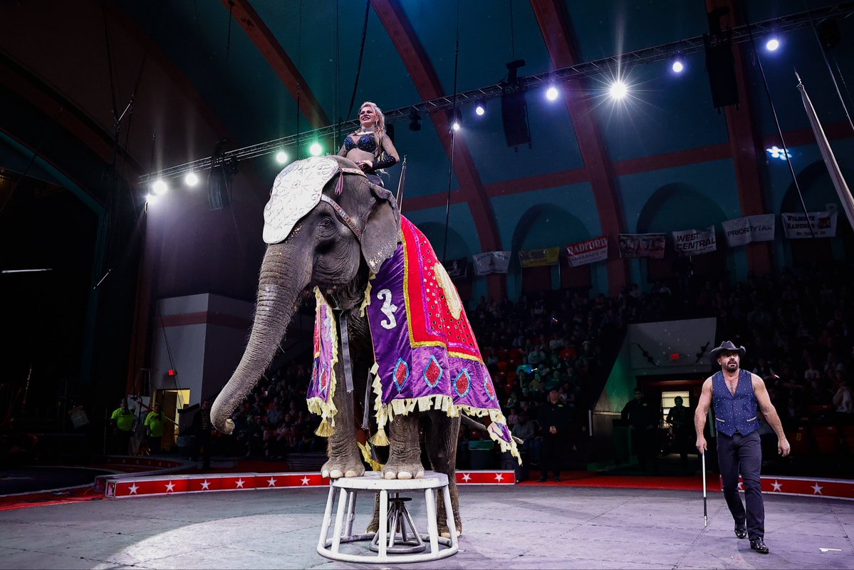 Parkstead_Gov's tweet photo. 🎪 CIRCUS COUPONS AVAILABLE! 🎪

Hey Parkstead residents! 👋 Are you looking for some fun this weekend? The Carden International Circus is coming to Watertown this Friday and Saturday! We have a limited number of coupons we are handing out!  Stop by our office to inquire! https://t.co/cDlvZhgLG0