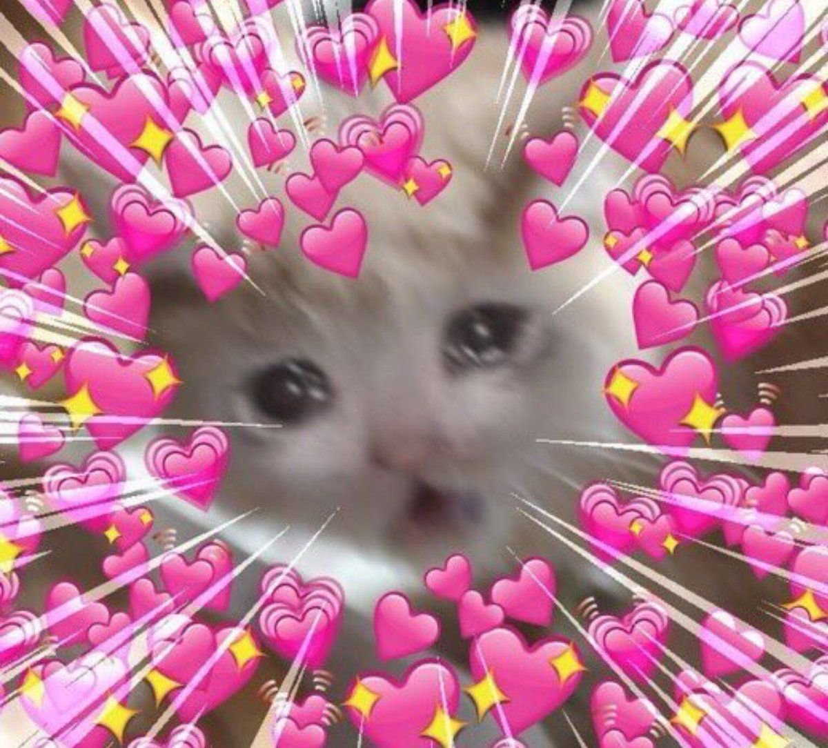 XIVLavender's tweet photo. @cute_miqo You're gonna make me cry lol, you are so sweet. I'm so glad that I was able to do that for you and it means the world to me that you thought of me so much. I missed talking to you guys and creating for everyone very much, so I'm happy to be able to return to open arms 💜 https://t.co/vDwAI8c10S