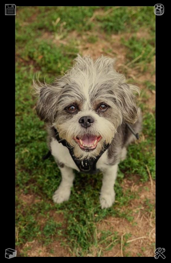 red_pineapplee's tweet photo. 🏖 A call comes in from the office —122208 —the assembly line is streamlined, and we tweak operations. Another day of solid output! https://t.co/gGufCJ8O7G