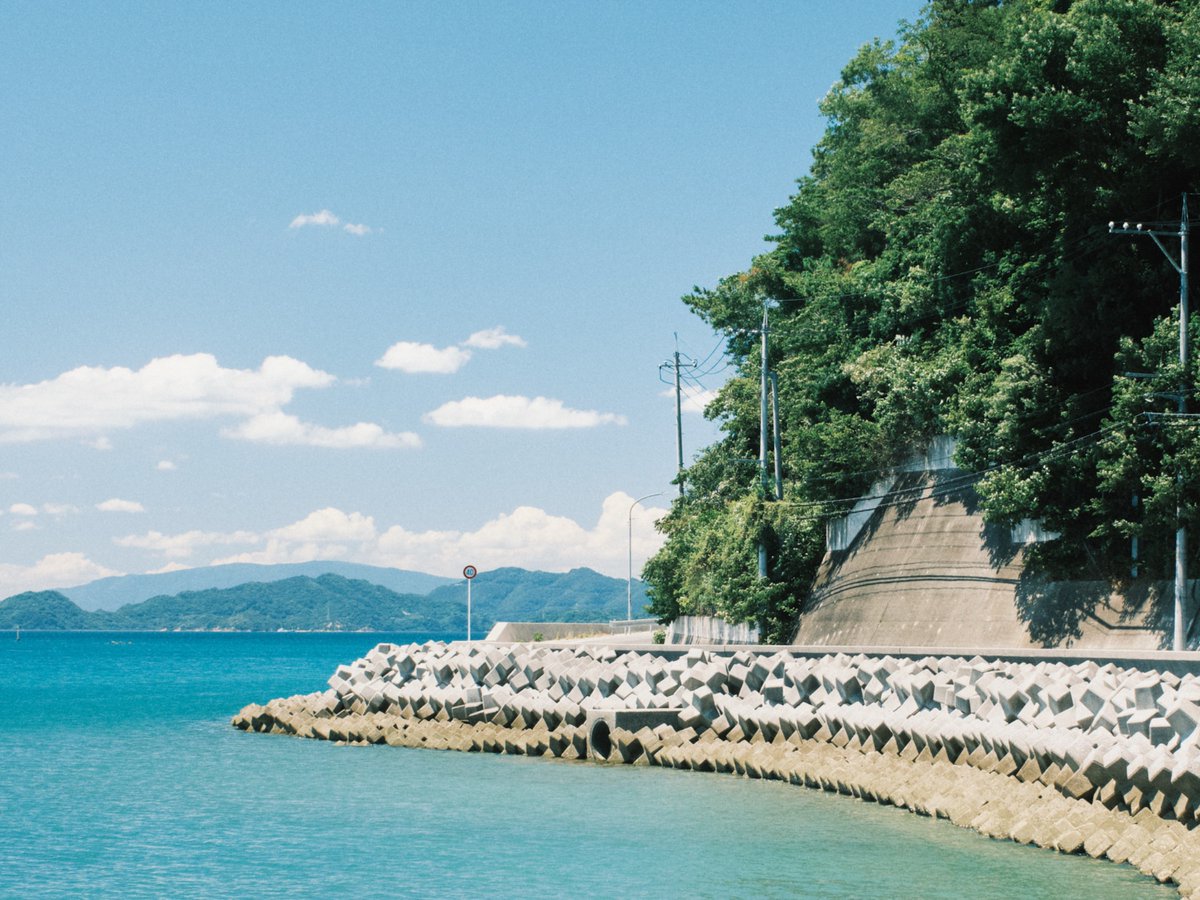 naotokirimare's tweet photo. FUJIFILM X100Ⅵ https://t.co/pSSBnHRp01