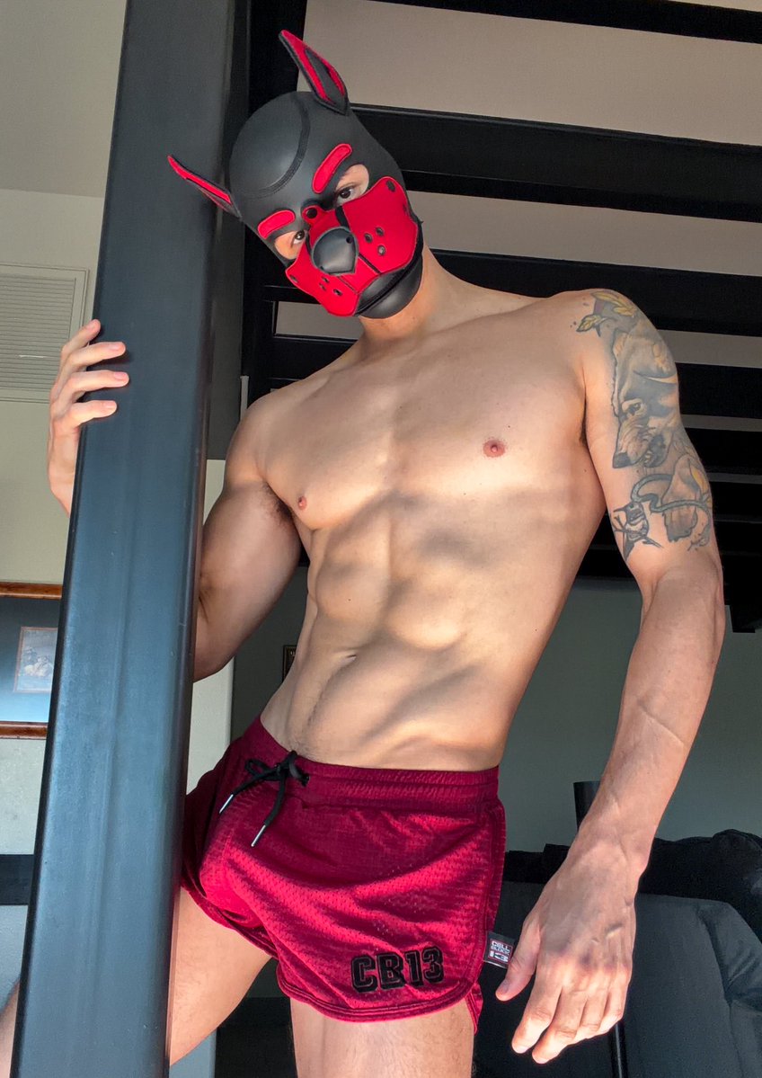 zanderwoodz's tweet photo. How’s it goes? 🐾 https://t.co/TuVj0xy62e