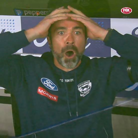 Sober_Logic's tweet photo. So ex-Cat 2x🏆(c) Tom Harley has just left the club he’s now investigating?!

He’ll strip Syd of ALL Premiership pts &amp; make BRIS, HAW &amp; MEL controversially lose Rd.24, so Geelong leaps to 2nd with a win, to get a HOME QF &amp; a HOME PF.

HOCKING, LABOR, CATS 9 WINS/9 LIVES = GEEL 🏆 https://t.co/3LuiLfNxlE