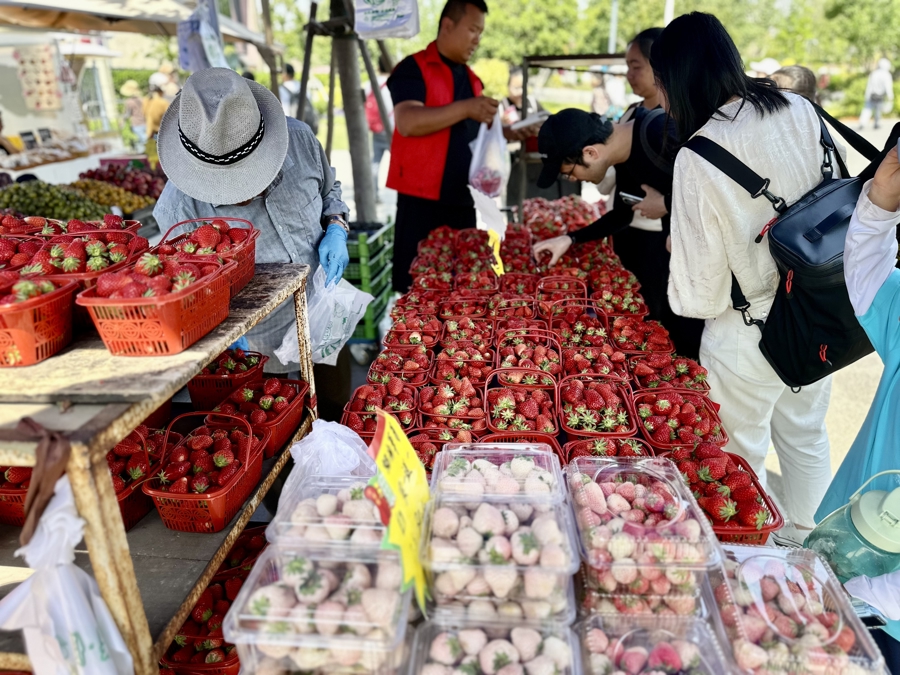 Meganstang71's tweet photo. Fresh, local organic tomatoes u0026 basil just landed at the neighborhood farmers’ market! Perfect for your weekend pasta night. Grab them before they sell out! https://t.co/OvcbQUvClc