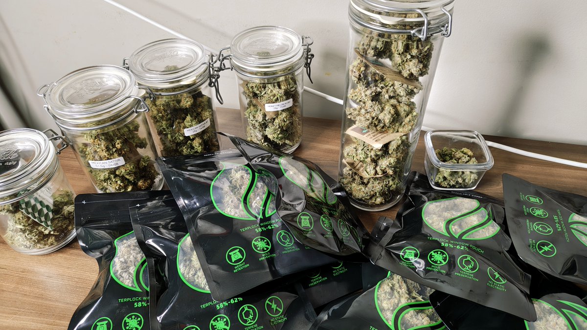 aparoaspontas's tweet photo. Muita gente se pergunta se vale a pena começar a plantar. Eu também me fazia essa pergunta, o custo do tratamento com cannabis costuma ser proibitivo.

Montei uma tenda e fiz um ciclo de cultivo mineral com 6 plantas, quantidade que, teoricamente, não se enquadra como tráfico. Estudei por vídeos no YouTube disponibilizados de formas gratuitas por outros growers, um agradecimento especial à Cultlight e ao Jardim HG (recomendo ambos profundamente).

Da germinação ao fim da secagem foram exatos 120 dias. O custo final ficou em R$ 15,05 por grama: metade do menor preço praticado pelas associações, com qualidade superior. Flor nesse padrão costuma passar de R$ 60,00 a grama.

Não é fácil: exige muito estudo e tempo. E também não é barato, segue elitizado, ainda que facilite bastante produzir o próprio medicamento.

Importante: não é o método mais barato, mas foi o que melhor se encaixou pra mim, cerca de 100 g por mês de ciclo, dois ciclos por ano e tenho meu consumo do ano inteiro.

No cultivo mineral, minha impressão é que investimento e rendimento andam de forma linear: dá pra investir metade e produzir metade.