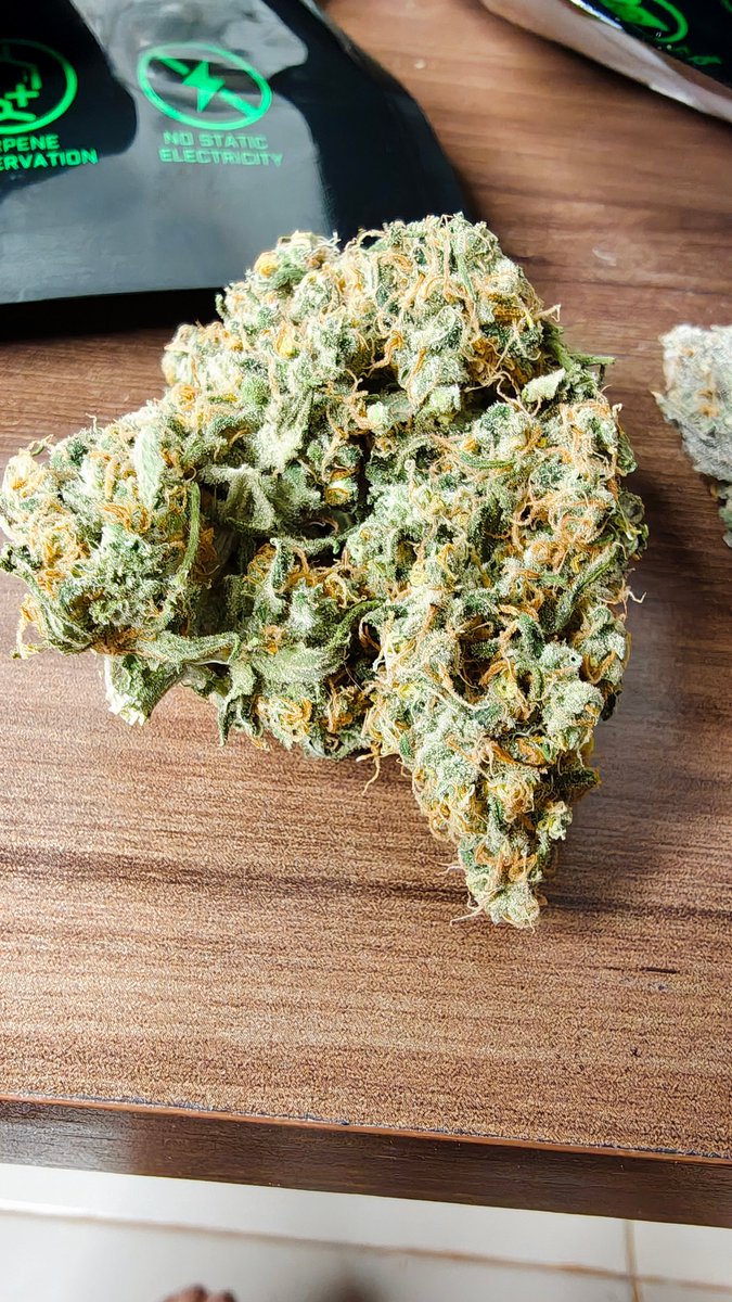 aparoaspontas's tweet photo. Muita gente se pergunta se vale a pena começar a plantar. Eu também me fazia essa pergunta, o custo do tratamento com cannabis costuma ser proibitivo.

Montei uma tenda e fiz um ciclo de cultivo mineral com 6 plantas, quantidade que, teoricamente, não se enquadra como tráfico. Estudei por vídeos no YouTube disponibilizados de formas gratuitas por outros growers, um agradecimento especial à Cultlight e ao Jardim HG (recomendo ambos profundamente).

Da germinação ao fim da secagem foram exatos 120 dias. O custo final ficou em R$ 15,05 por grama: metade do menor preço praticado pelas associações, com qualidade superior. Flor nesse padrão costuma passar de R$ 60,00 a grama.

Não é fácil: exige muito estudo e tempo. E também não é barato, segue elitizado, ainda que facilite bastante produzir o próprio medicamento.

Importante: não é o método mais barato, mas foi o que melhor se encaixou pra mim, cerca de 100 g por mês de ciclo, dois ciclos por ano e tenho meu consumo do ano inteiro.

No cultivo mineral, minha impressão é que investimento e rendimento andam de forma linear: dá pra investir metade e produzir metade.