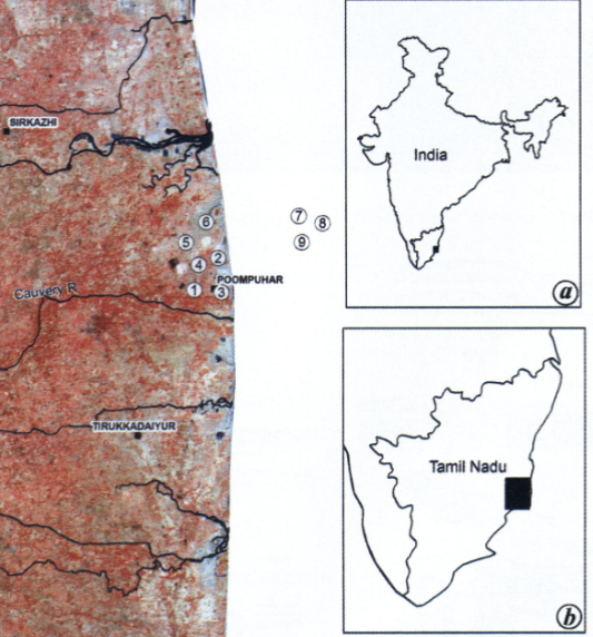 Ugra___'s tweet photo. Poompuhar (300 BCE port) at the mouth of the Cauvery river. The submerged locations are 20-25 meters underwater.

1 - Buddha Vihara
2 - Yavanar Irukkai (Greek colony)
3 - Wharf
4 - Mercantile offices
5 - Venkadu (urn burials)
6 - Kadaikadu
7 - Soma Kundam
8 - Surya Kundam
9 - Vellidai Mandram
