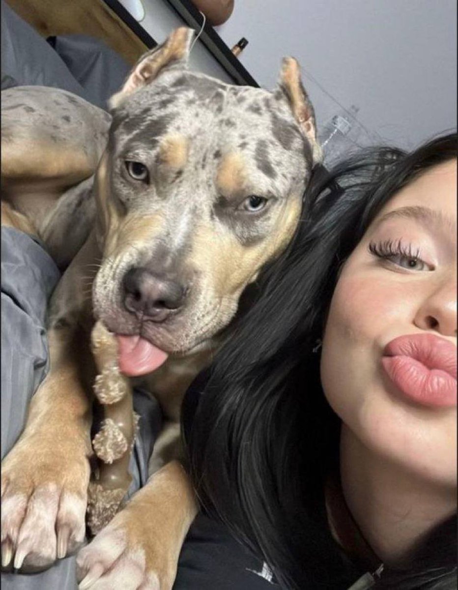 bmqytr67286's tweet photo. Let's get knotty 👇🏻 
https://t.co/tqX0kt62oA…
#zoosex #animalporn
#zoophillia #zoosarevalid #beastiality #dogknot #zooprideisvalid #zoophiletwt 
#zootwt #zoopositivity #Zoophilia #Zoo #Bestiality #doglovers #usa #artofzoo #dogwhole #knotty #dogpill #dog #dogknotty https://t.co/K7Tk1B5FYv