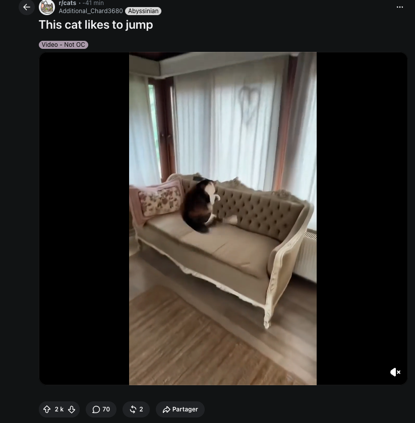 rossys10x's tweet photo. 2.1K UPVOTE IN 40 MIN ??!

https://t.co/Eig7A16Yv9

This jumping cat is going giga viral on reddit

Thesis is simple : This cat likes to jump https://t.co/YO9Ok89Xmk