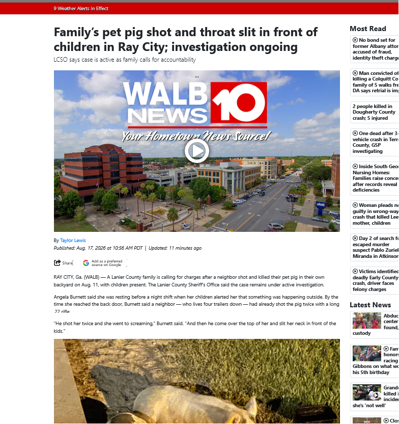 lynnminmayy's tweet photo. Family's pig shot and neck was slit in front of the family's children? this is insane 

gonna go viral

https://t.co/6wfJ01tTeT https://t.co/hC34eGgbu1