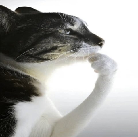 wazeyns's tweet photo. acabei de calcular a área de um triângulo, deu zero e eu estou claramente vendo a área dele no gráfico q eu desenhei https://t.co/dg6vp4oUCi