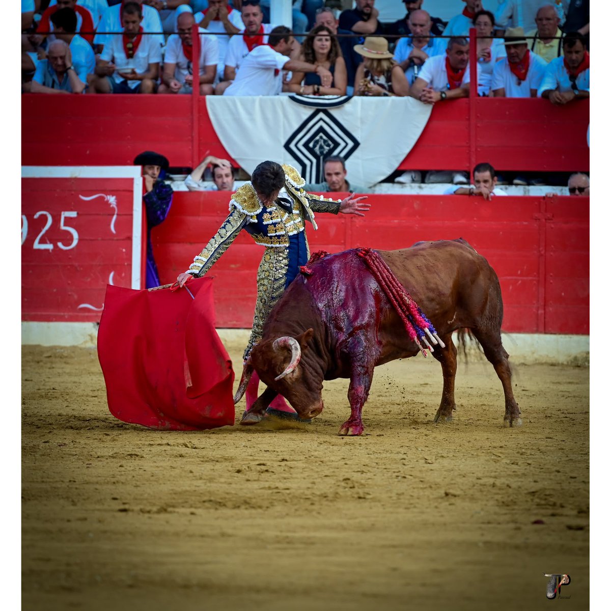 CuadernosTM's tweet photo. Fabio Jiménez... https://t.co/iNdc64TZii