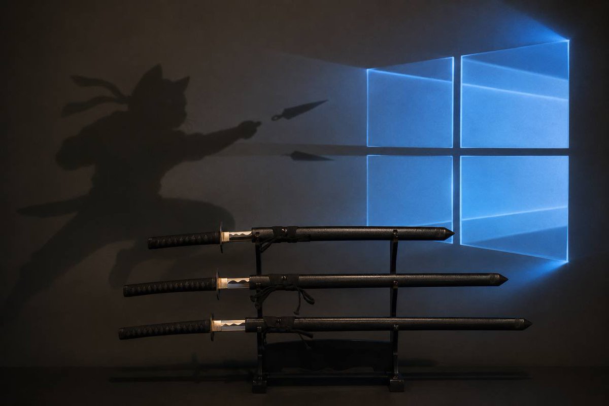 NinjacatRH's tweet photo. A clear target, a steady hand. And a commitment to hit it. ⚔️ 
$NINJACAT https://t.co/Rv7AJAHHXN