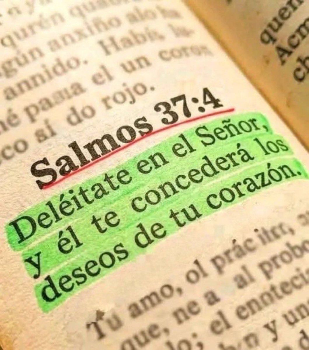 Nefisito's tweet photo. https://t.co/d9LSWKGQPW