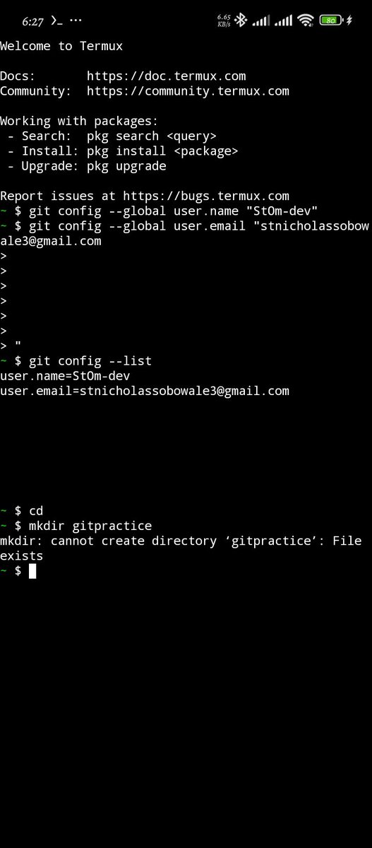 StOm33e's tweet photo. Another step in the journey from C programming into Embedded Systems.
At the YFE Embedded Workshop yesterday, we covered Git fundamentals and the importance of version control when building projects.
@princess_yfe
@nevo_design
#YFE #EmbeddedSystems #Git https://t.co/VxgRj2o71R