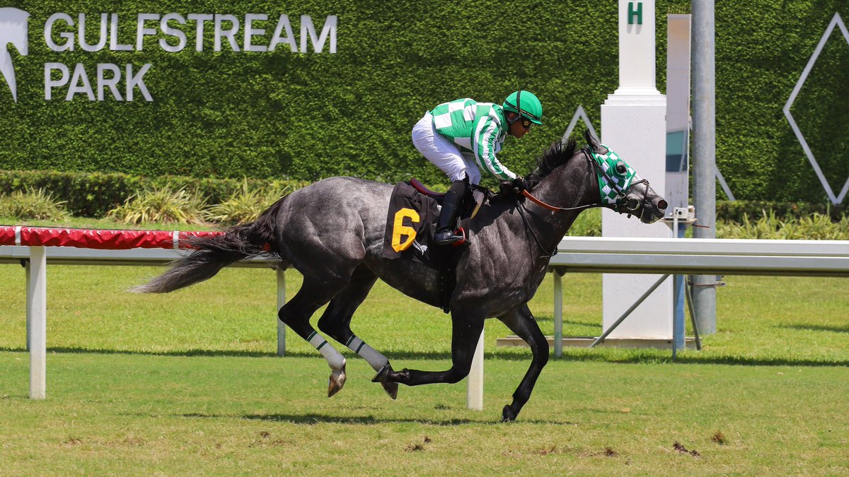 GulfstreamPark's tweet photo. Team of Rivals pulls away in the final stretch to deliver in race 4, Miguel Vásquez in the stirrups for trainer @jjtonerracing, owner and breeder Joseph Allen. #GulfstreamPark #RoyalPalmMeet https://t.co/KMF8RczadT