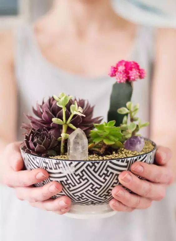 bethc92's tweet photo. Turn old glass jars into cute succulent planters in 10 mins! No fancy tools needed  #DIYCraft #Upcycle https://t.co/LSNJvDs8jo