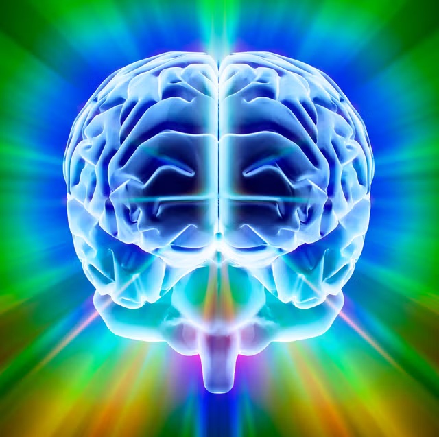 NightSkyToday's tweet photo. JUST IN🚨: Consciousness is the only thing that truly exists, scientist claims. https://t.co/nHUEp4bCaW
