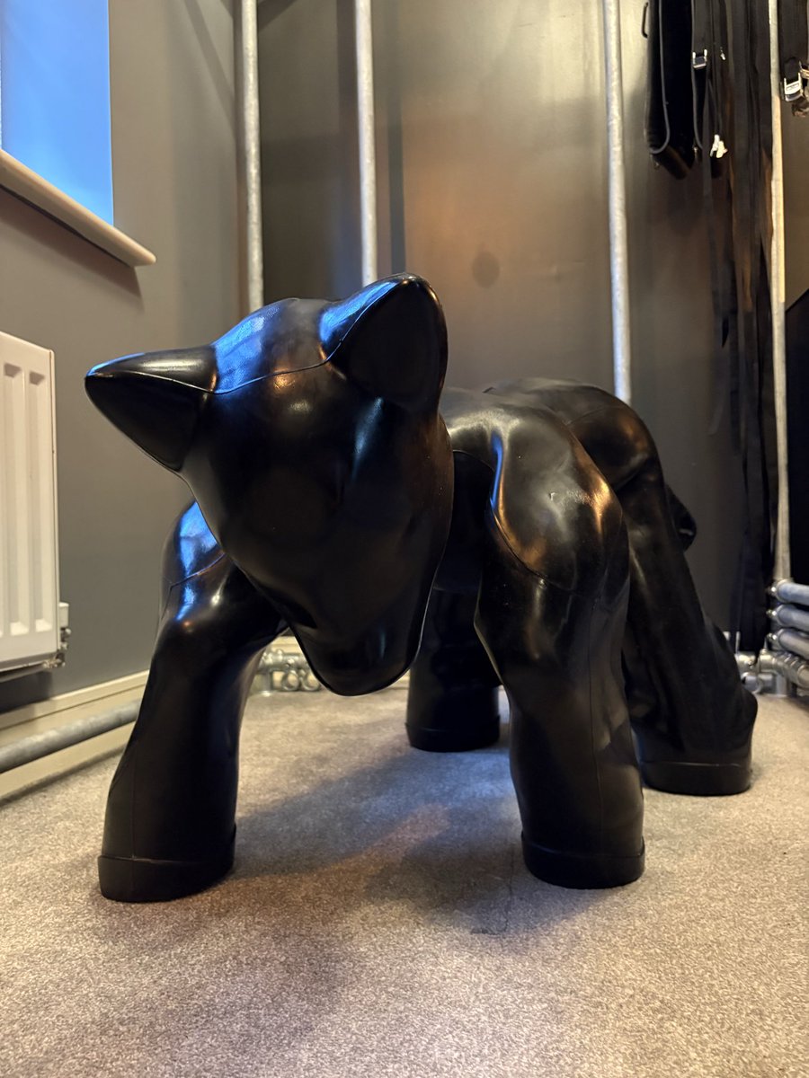 ObjectXX's tweet photo. Transformed into his pet 🥵
The tight silicone hugged my limbs preventing me from standing up. The hood took away my sight and kept my mouth open ready for his cock. Within seconds of the poppers hitting all I could think about was how much I loved being his pet 🔥🥵 https://t.co/wnjyAAkjAi