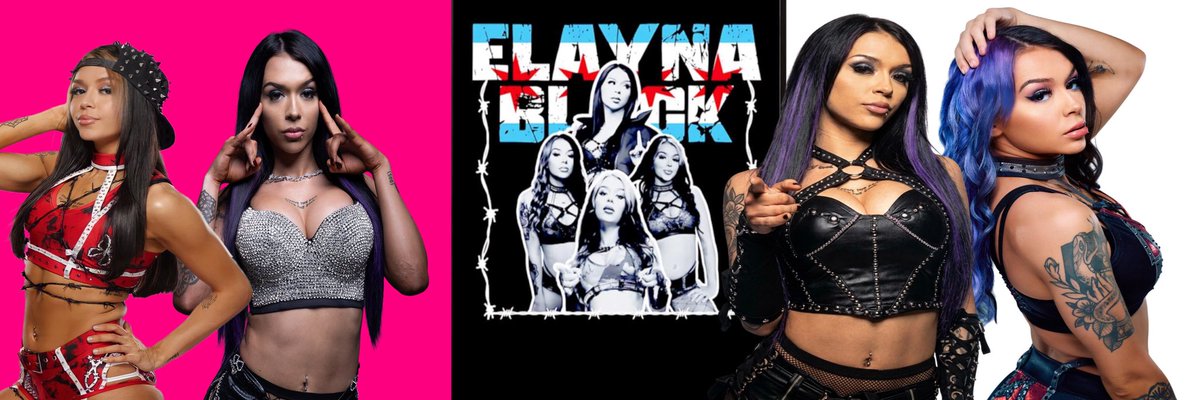 the_elayna_'s tweet photo. Thank you for the new banner @that_heel_guy93 https://t.co/kRT0N8CtCU