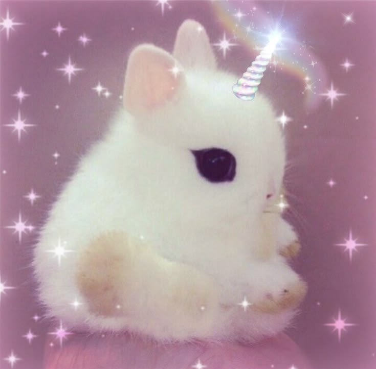uniicornbyers's tweet photo. #moothunt day one!! (๑•᎑•๑) https://t.co/bgJiCgW25P