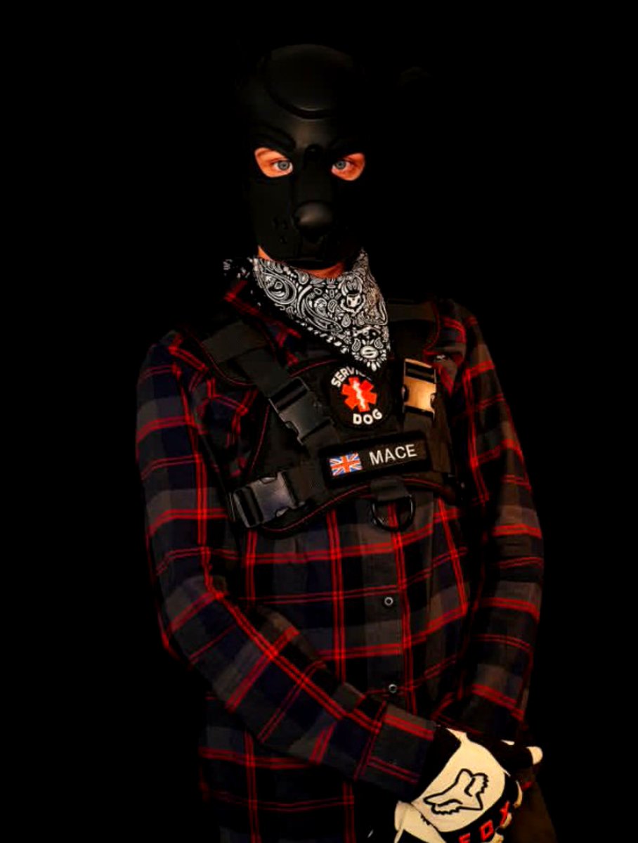 john_arts33's tweet photo. Just a good pup suited up and ready for the day 🐾🖤🐶✨

#Pup #Puppy #PupVibes #PupBoy https://t.co/Xor3RCOTpd