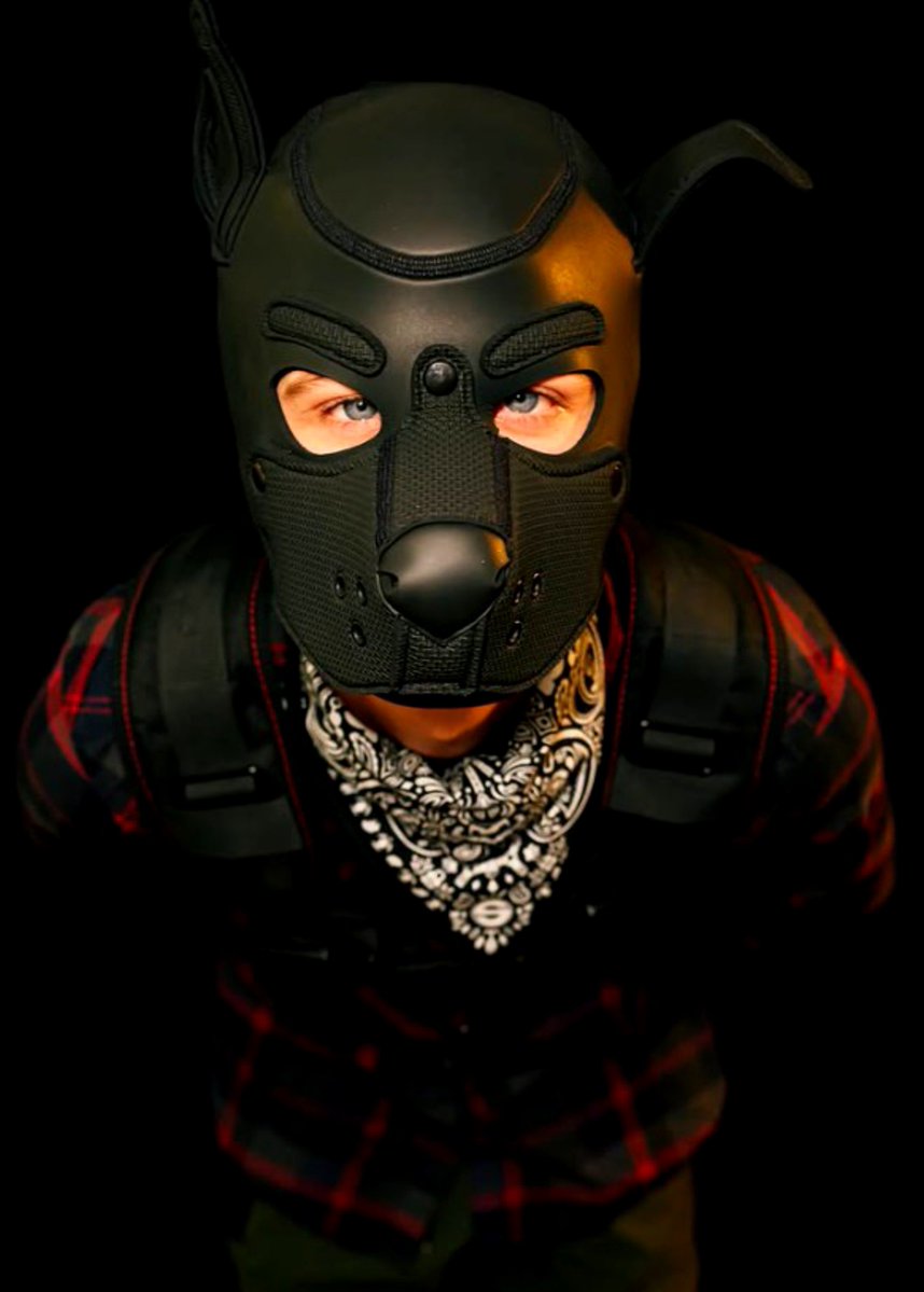 john_arts33's tweet photo. Just a good pup suited up and ready for the day 🐾🖤🐶✨

#Pup #Puppy #PupVibes #PupBoy https://t.co/Xor3RCOTpd