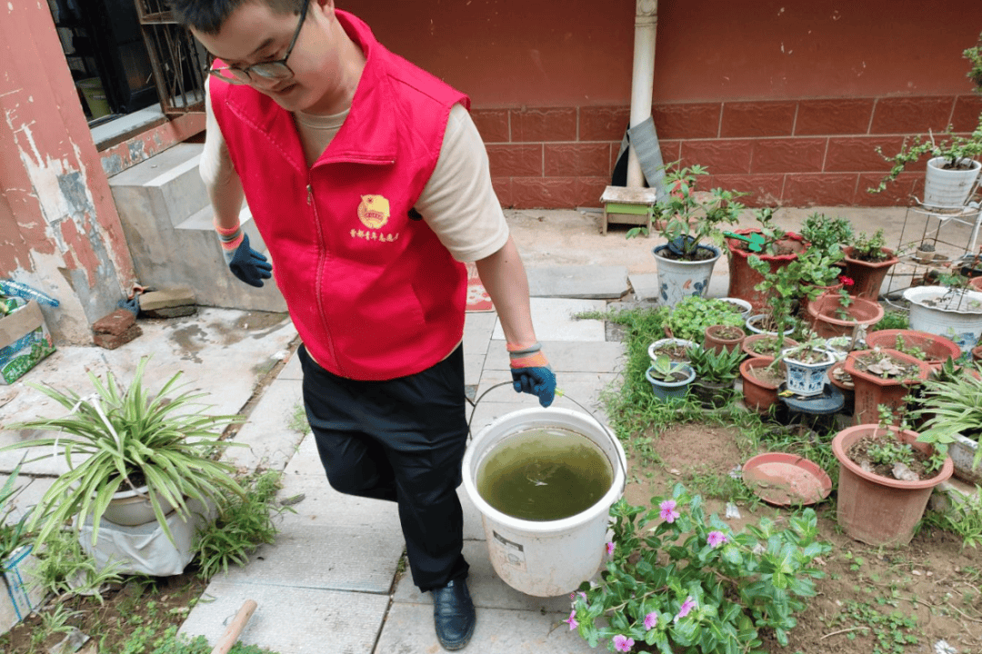 KirbyParas's tweet photo. [Join our community garden cleanup this Saturday! Bring gloves u0026 a smile – fresh air, friends, and a greener block await. RSVP here: https://t.co/f2P527cP6Z]， https://t.co/Unm0GKPpUr